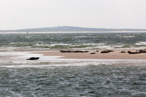 Wattenmeer und Ijsselmeer